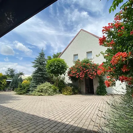 In A Beautiful Garden *