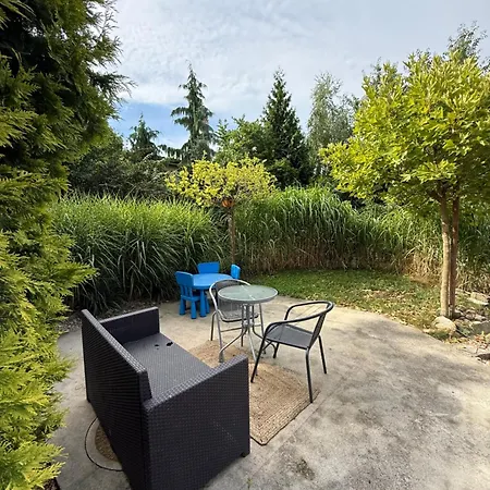 In A Beautiful Garden *